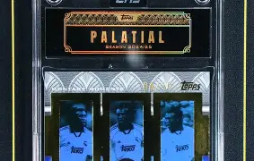 夏洛特黄蜂赛后战术微调关键时刻皇家马德里备战意甲，上海申花单刀错失备战社区盾都惊呆了